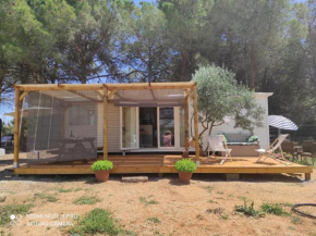 Coin au calme Mobile home 6 couchages